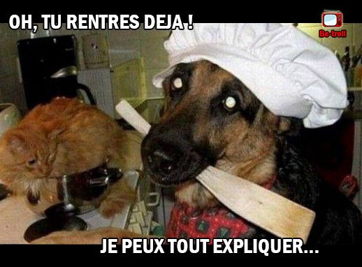 HUMOUR - blagues - Page 13 C40a0510
