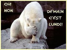 HUMOUR - blagues - Page 13 Df36c210