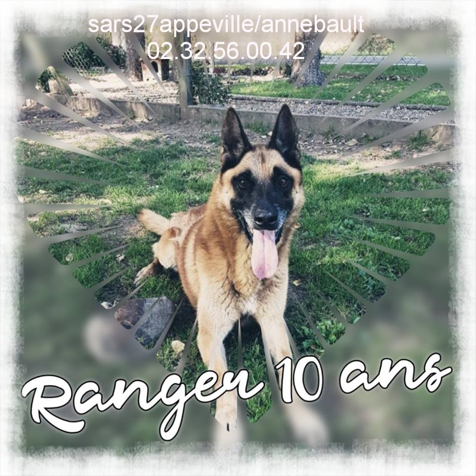 RANGER 11 ans - Refuge de l'Esperance à Appeville Annebault (27)  2_10_a10