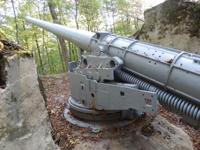 le canon de marine de 14cm du bois d'Herméville dans la Woëvre  Pa060311