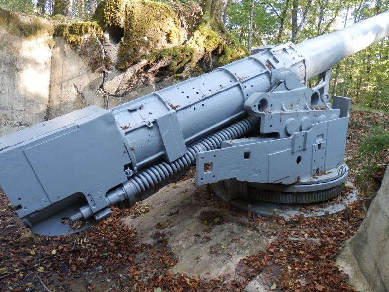 le canon de marine de 14cm du bois d'Herméville dans la Woëvre  Pa060313
