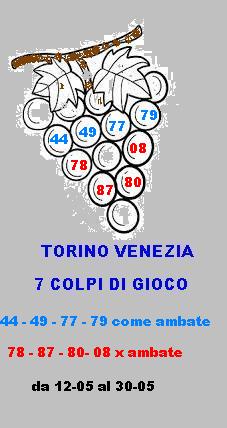 grappolo2 torino venezia Grappo11