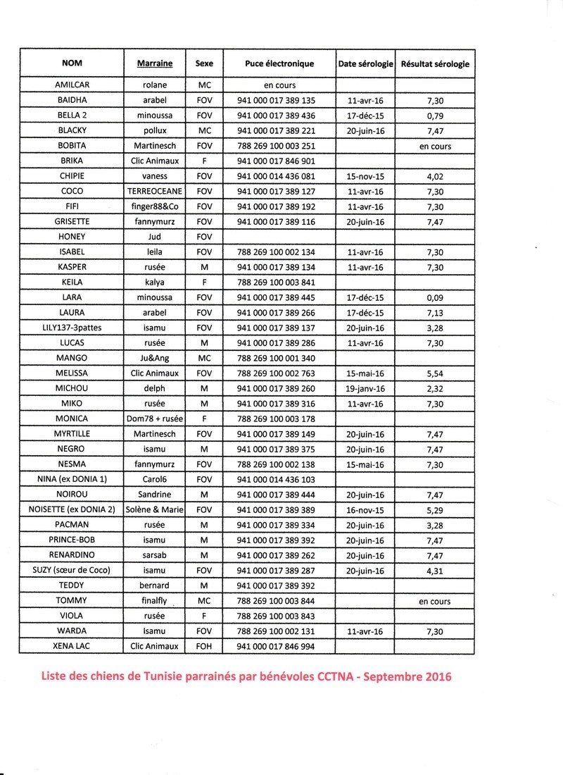 RAPATRIEMENT des CHIENS de TUNISIE Cn_par10