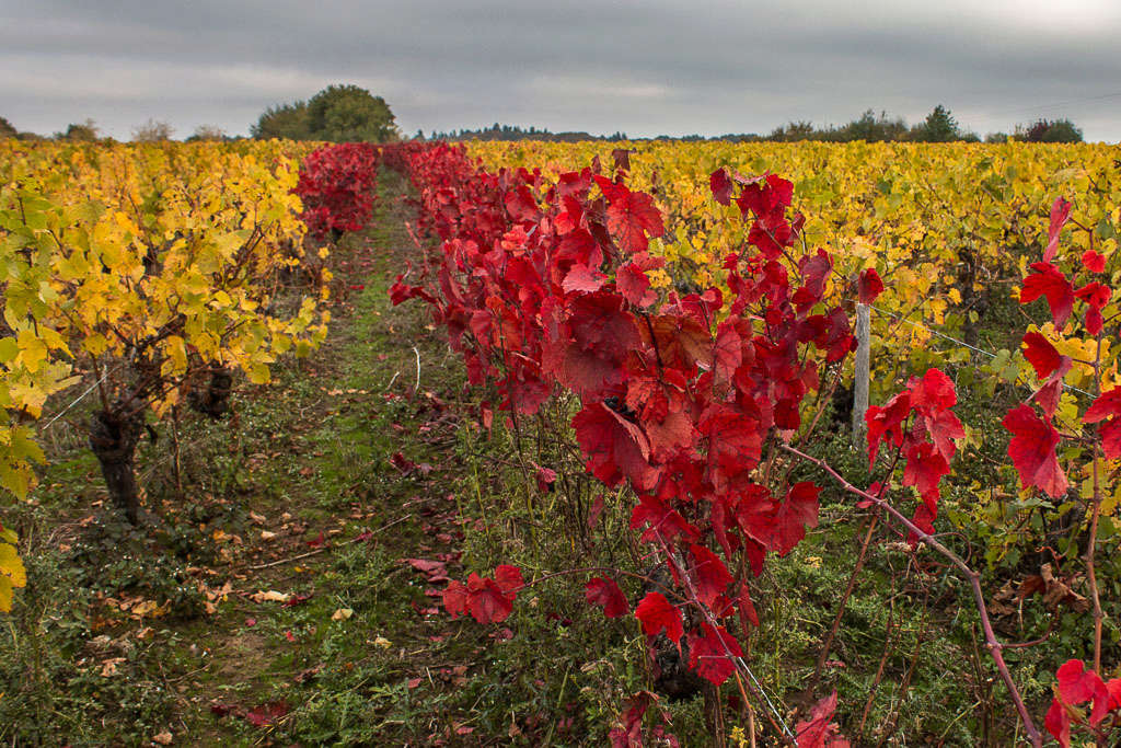 Couleurs éclatantes décembre 2016 410