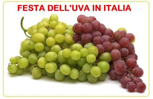 Eventi, Fiere, Sagre Sull'uva E Sul Vino Thumb_15