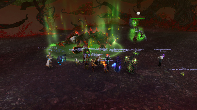 Down des boss du cauchemar d'emeraude Wowscr11