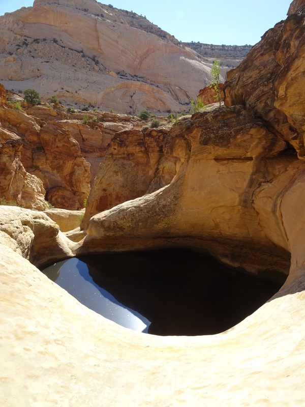 CAPITOL REEF Dsc02610