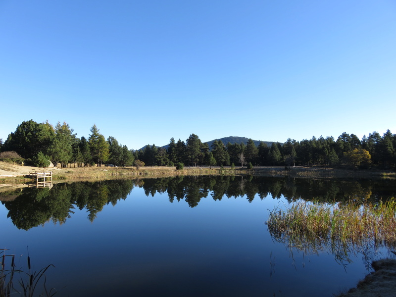 L'Etang du Calvet Img_3011