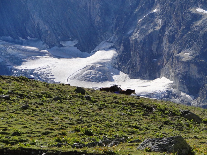 Pralognan-la-Vanoise – Col de Chavière. Dsc04830