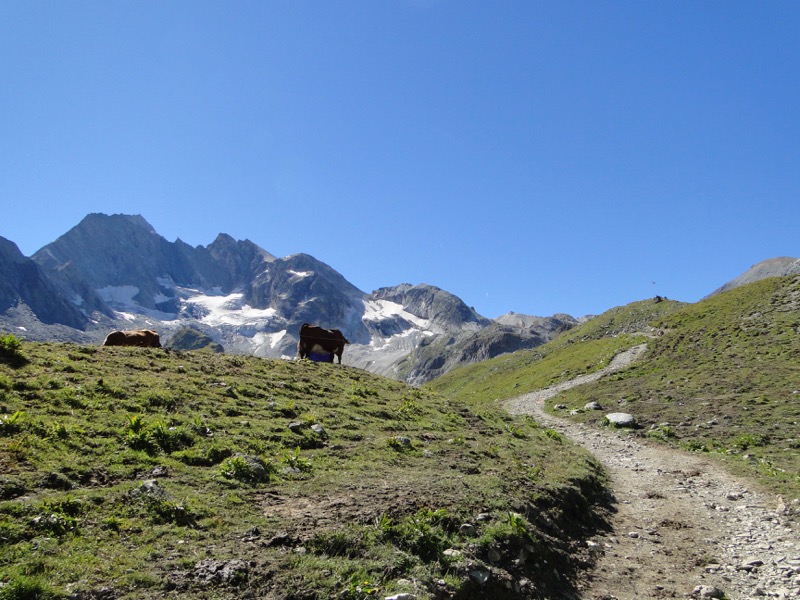 Pralognan-la-Vanoise – Col de Chavière. Dsc04832