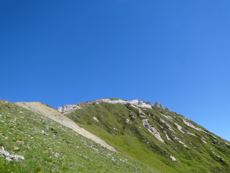 Pralognan - Petit Mont Blanc Dsc04930