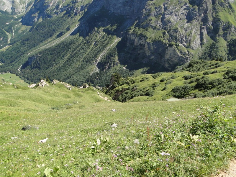 Pralognan - Petit Mont Blanc Dsc04952