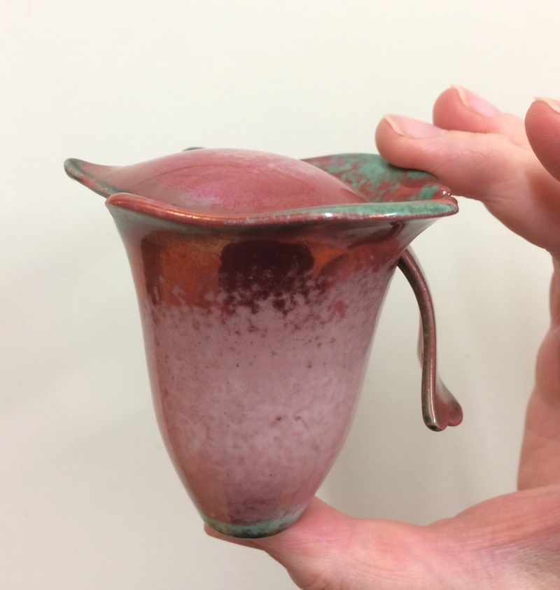Unknown cup and spoon like a Pitcher Plant  Image130