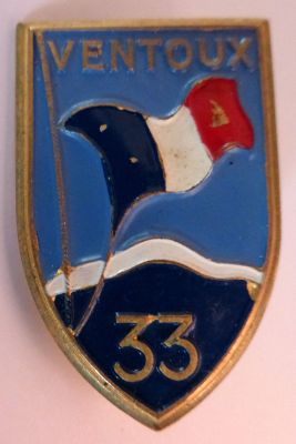 INSIGNE DU GROUPEMENT N°33 _5719