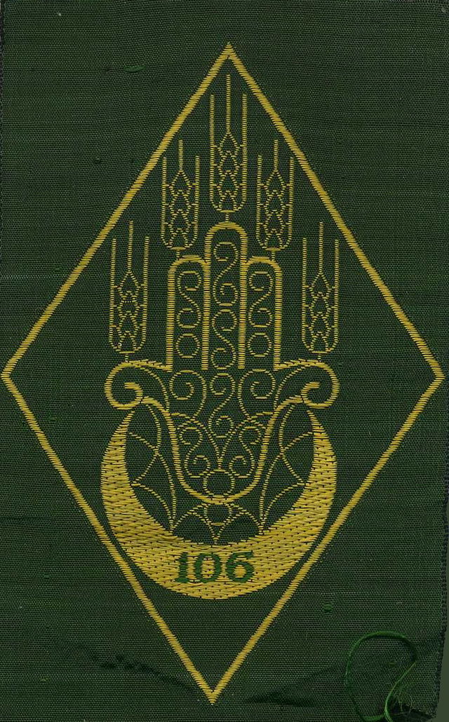 INSIGNE DU GROUPEMENT N°106 Cjf10610