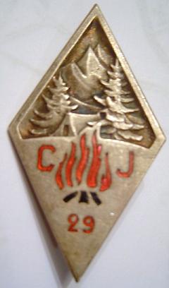 INSIGNE DU GROUPEMENT N°29 Dsc06410