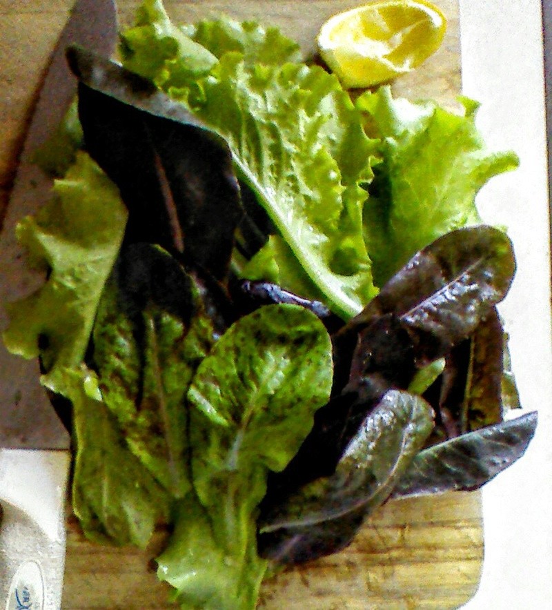 Monthly Avatar: September, Show Off Your Garden Harvest! - Page 2 Photo_10