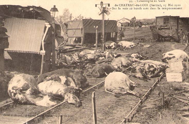 [Catastrophes ferroviaires] Région Ouest Accide10