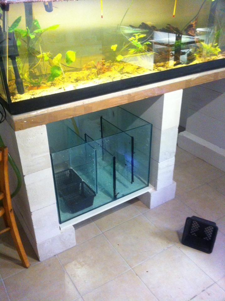 Chez TiDjY35 : Fishroom 14910310