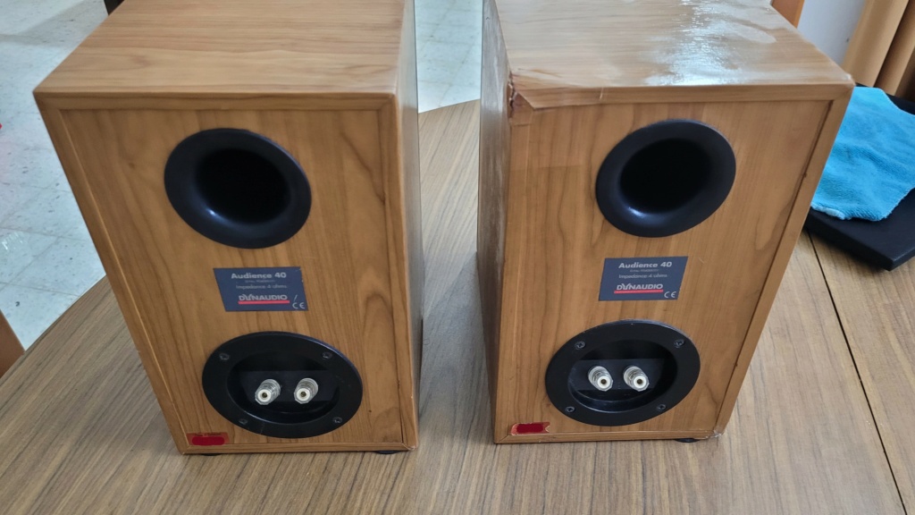 Dynaudio Audience 40 speaker (Sold) 20240517