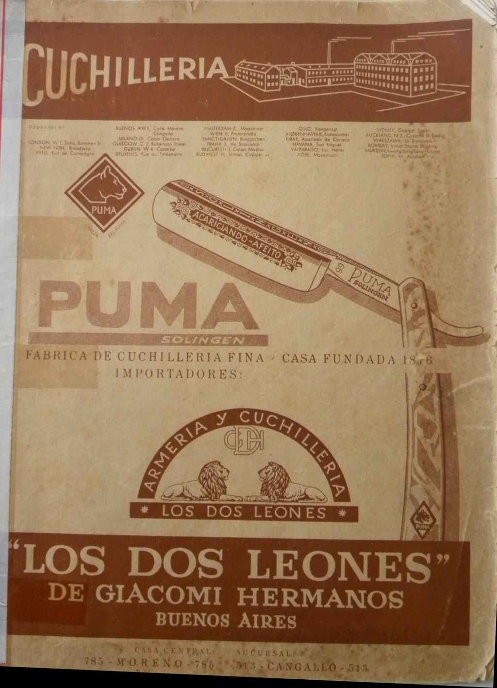 Puma exportation  Dscn3311