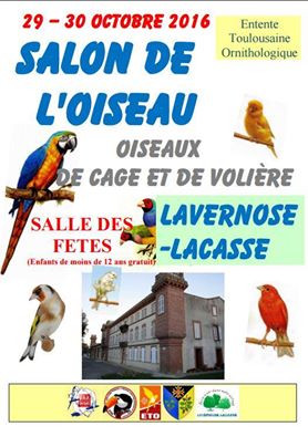 Concours-Bourse ETO Lavernose Lacasse (Toulouse) Eto10