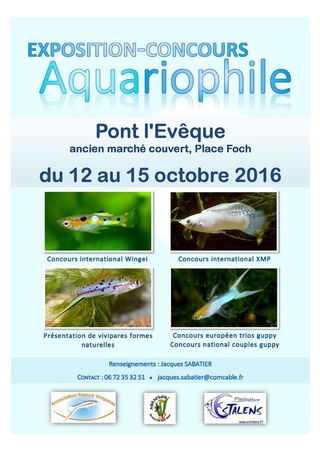 Exposition-concours Pont l'Evêque 2016, du 12 au 15 octobre. Affich10