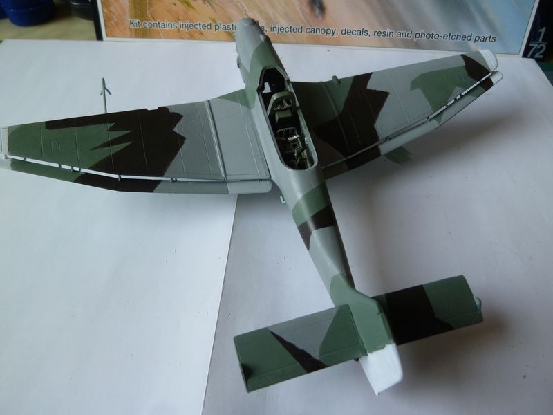 [Special Hobby] Junkers 87-A - Légion Condor - Page 2 P1050733