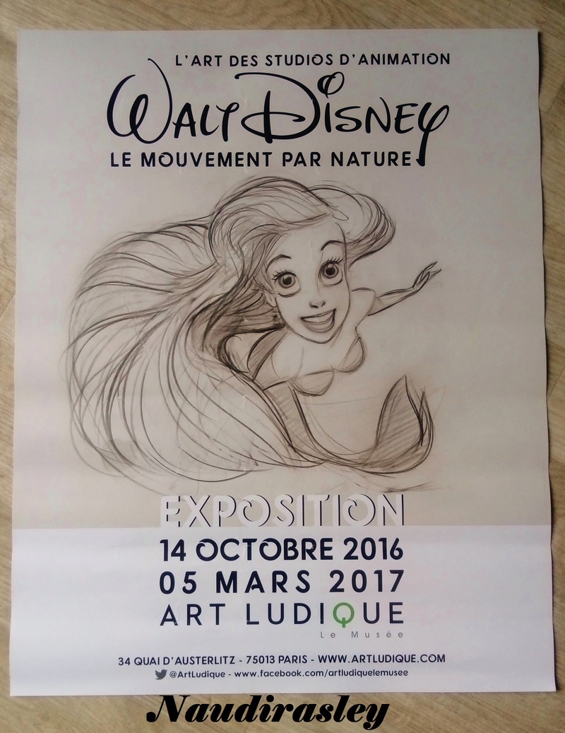 [Exposition] "L'Art des studios d'animation Walt Disney : Le Mouvement par Nature" au Musée d'Art Ludique du 14/10/16 au 05/03/17 - Page 2 Dsc_0112