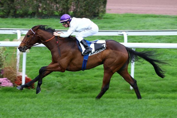  Maisons-Laffitte - Quinté -Samedi 17/09/16 F3314510