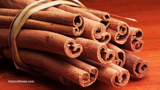 DID YOU KNOW THAT CINNAMON CAN BOOST INTELLIGENCE? Cinnam11