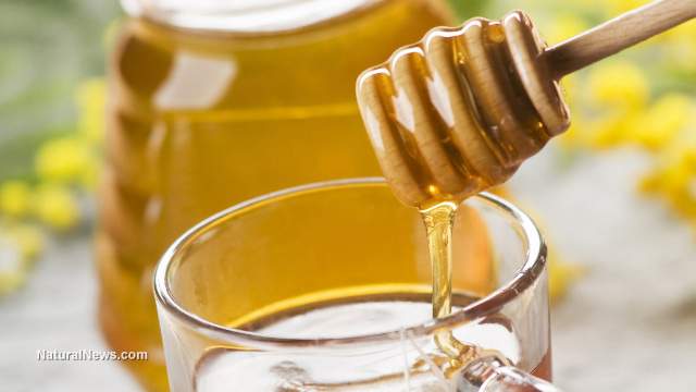 HONEY AND WATER MIXTURE MAY BE A POWERFUL WEAPON AGAINST HOSPITAL INFECTIONS AND DEADLY SUPERBUGS Honey10