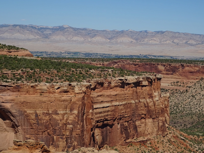 COLORADO Dsc00713