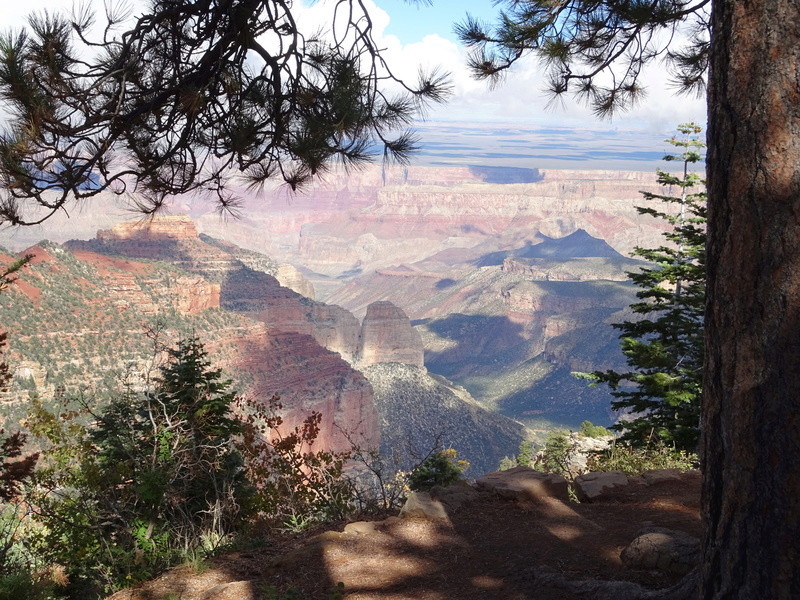 NORTH RIM Dsc04713