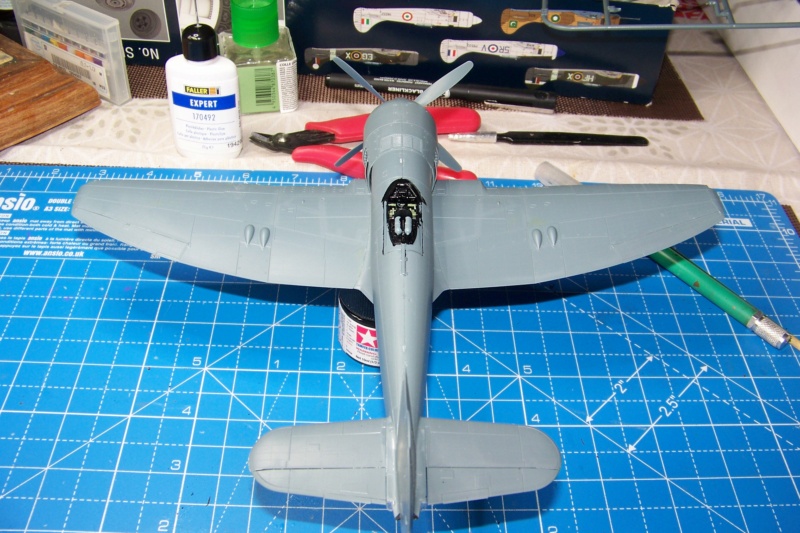 Hawker Tempest II RIAF 1947/49 ( Special.Hobby 1/48 ) FINI - Page 2 100_0432