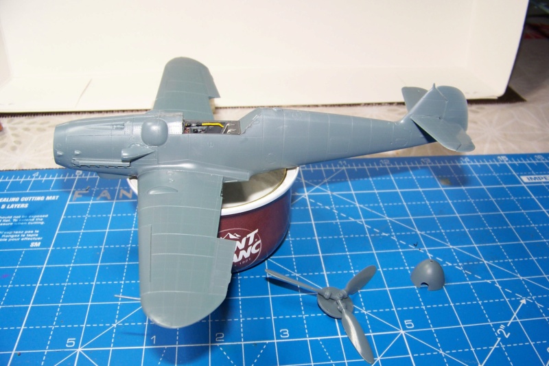 Bf 109 G6 ( Eduard 1/48) 100_0449