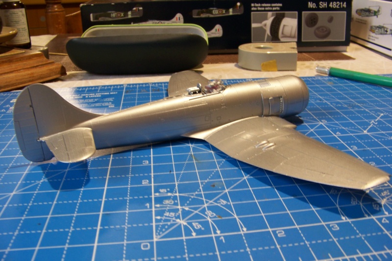 Hawker Tempest II RIAF 1947/49 ( Special.Hobby 1/48 ) FINI - Page 3 100_0460