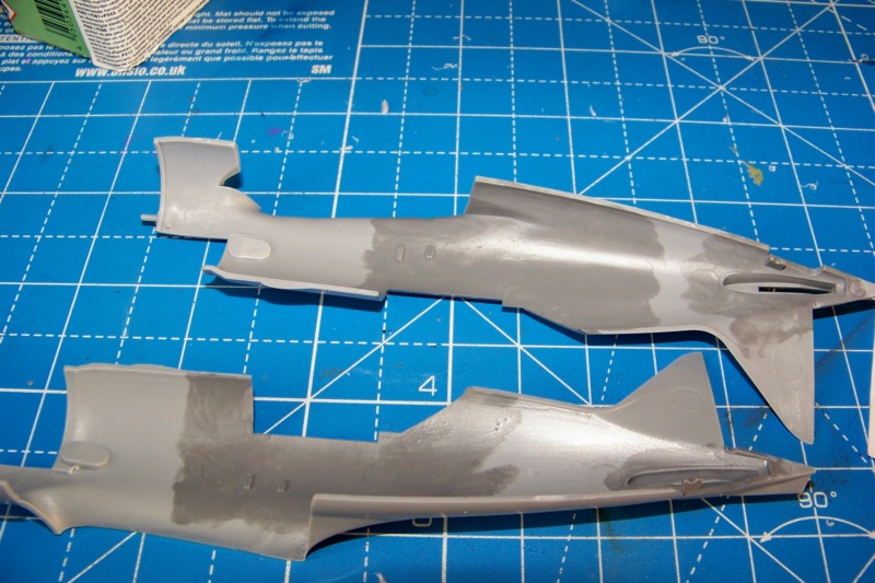 * 1/48 Fil rouge 2022 / CCCP 1/48 Polikarpov I-185 Ark Terminé en pg 5 - Page 2 100_0643