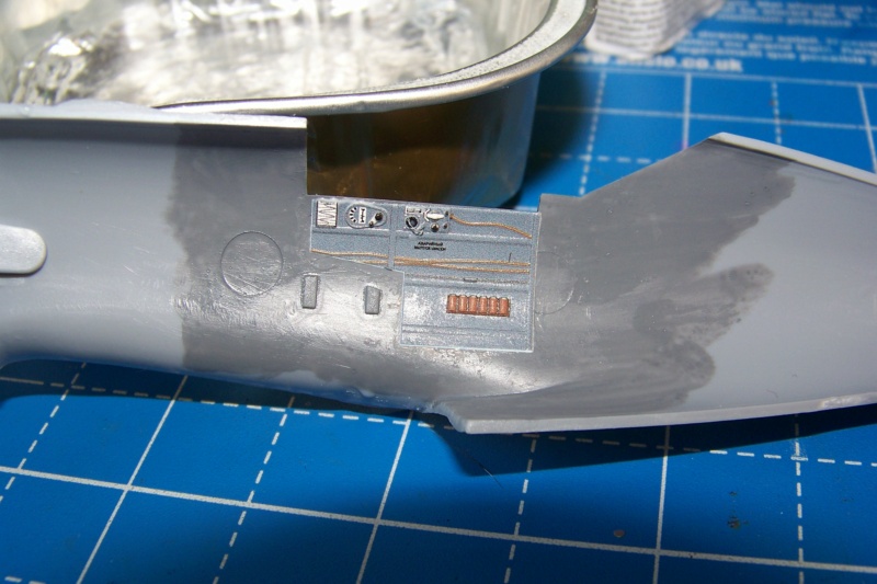 * 1/48 Fil rouge 2022 / CCCP 1/48 Polikarpov I-185 Ark Terminé en pg 5 - Page 2 100_0648