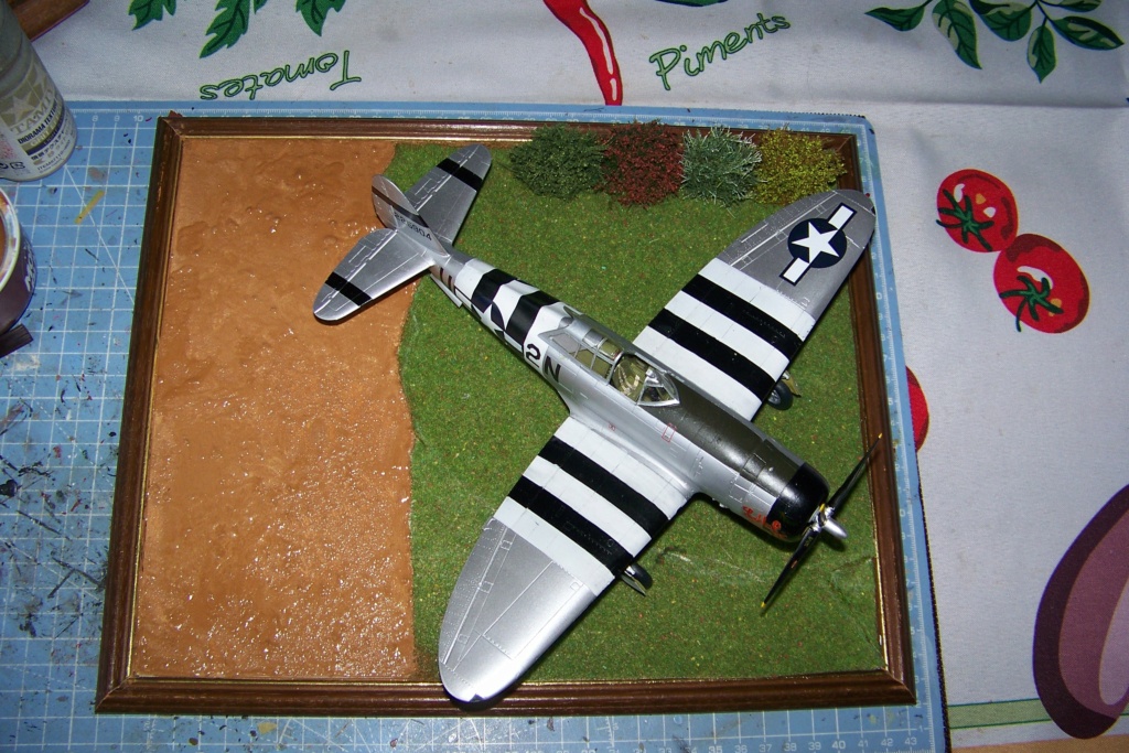 [TAMIYA] REPUBLIC P-47 D22 THUNDERBOLT 50th FG 81st FS Catz (ALG A10) Juin 44 FINIS Réf 25114 100_1591