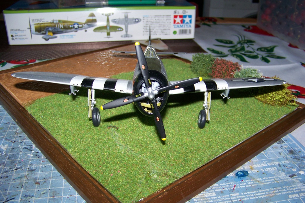 [TAMIYA] REPUBLIC P-47 D22 THUNDERBOLT 50th FG 81st FS Catz (ALG A10) Juin 44 FINIS Réf 25114 100_1595