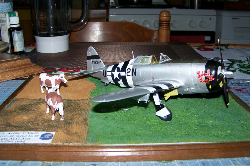 *1/48 Republic P-47 D22 50th FG 81st FS Catz(ALG A10) Juin 44 ( Tamiya 1/48 )FINI - Page 5 100_1596