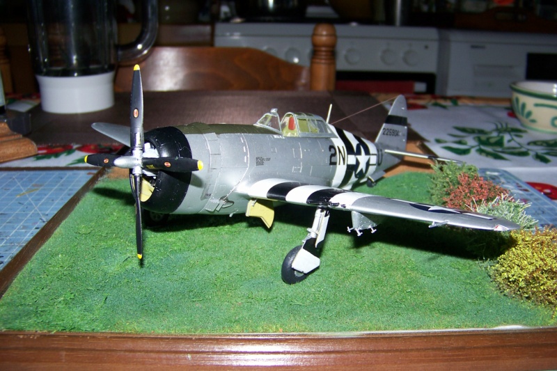 *1/48 Republic P-47 D22 50th FG 81st FS Catz(ALG A10) Juin 44 ( Tamiya 1/48 )FINI - Page 4 100_1601