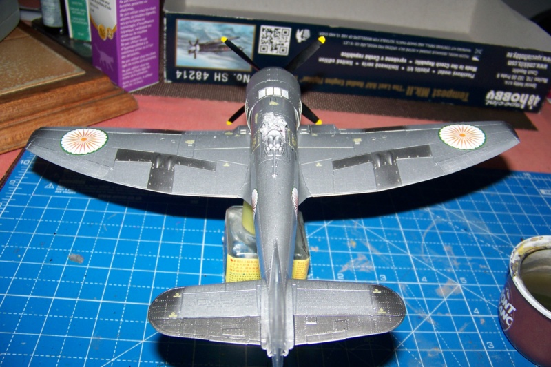 *1/48 Hawker Tempest II RIAF 1947/49 Special.Hobby FINI - Page 4 100_1904