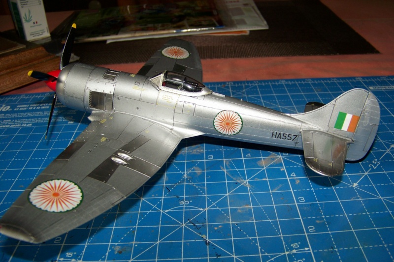 *1/48 Hawker Tempest II RIAF 1947/49 Special.Hobby FINI - Page 4 100_1915