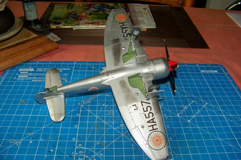 *1/48 Hawker Tempest II RIAF 1947/49 Special.Hobby FINI - Page 4 100_1917