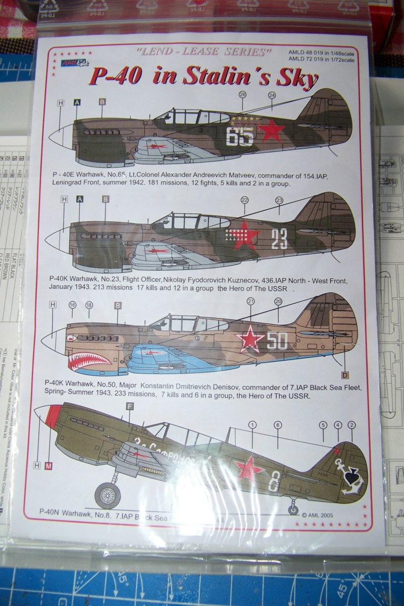 1/48 Curtiss P40-E Klimov Hasegawa/Brengun Fini. 100_2133