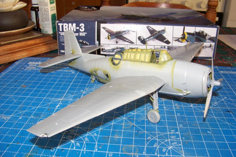 1/48    TBM-3 Avenger 4-F Karouba 1953     Academy  - Page 2 100_2558