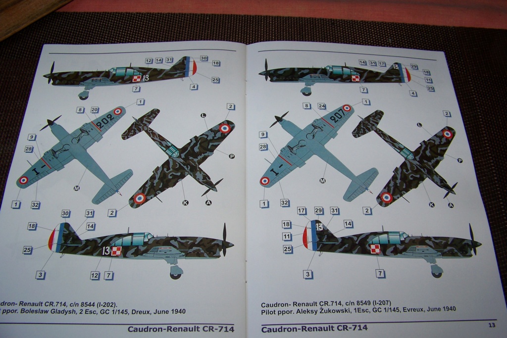 1/48 Caudron Cr 714 c1 DoraWing 100_2836