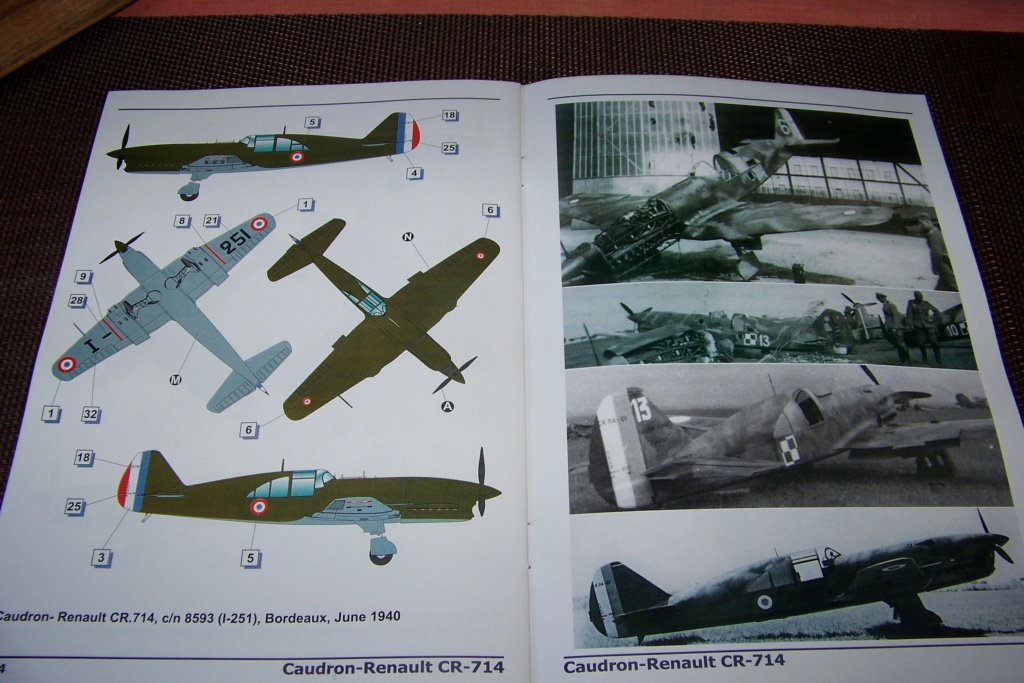 1/48 Caudron Cr 714 c1 DoraWing 100_2837